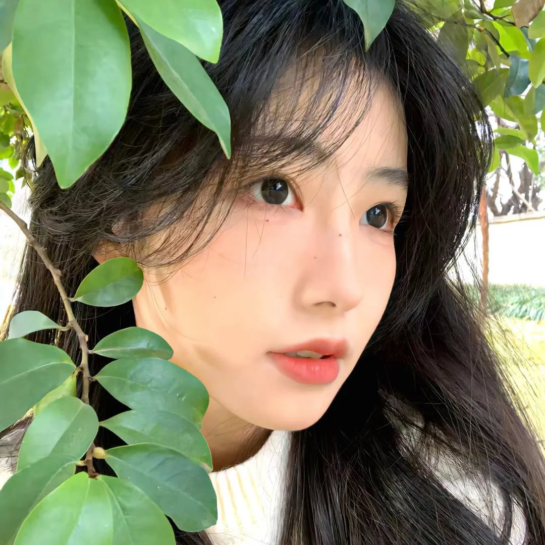 海外佳片